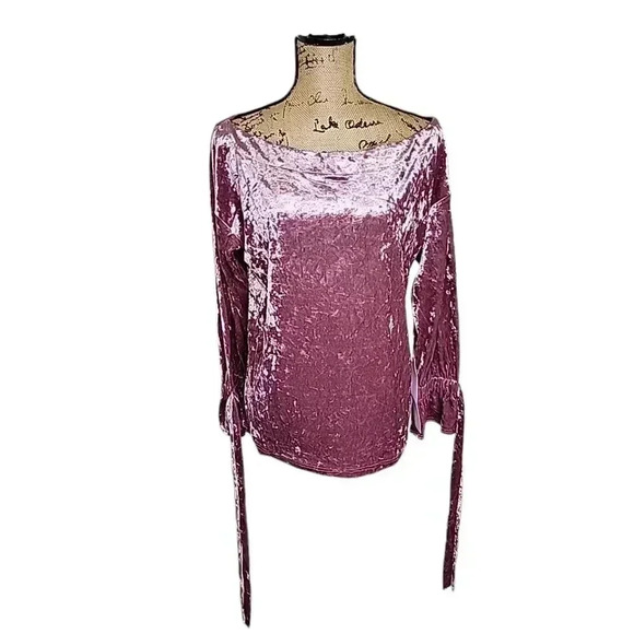 Lumiere Pink Crushed Velvet long sleeve blouse. Nwt- size small - Picture 2 of 6